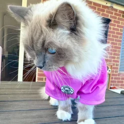 Violet Orchid - Sun & Sand Rashie UV 50+