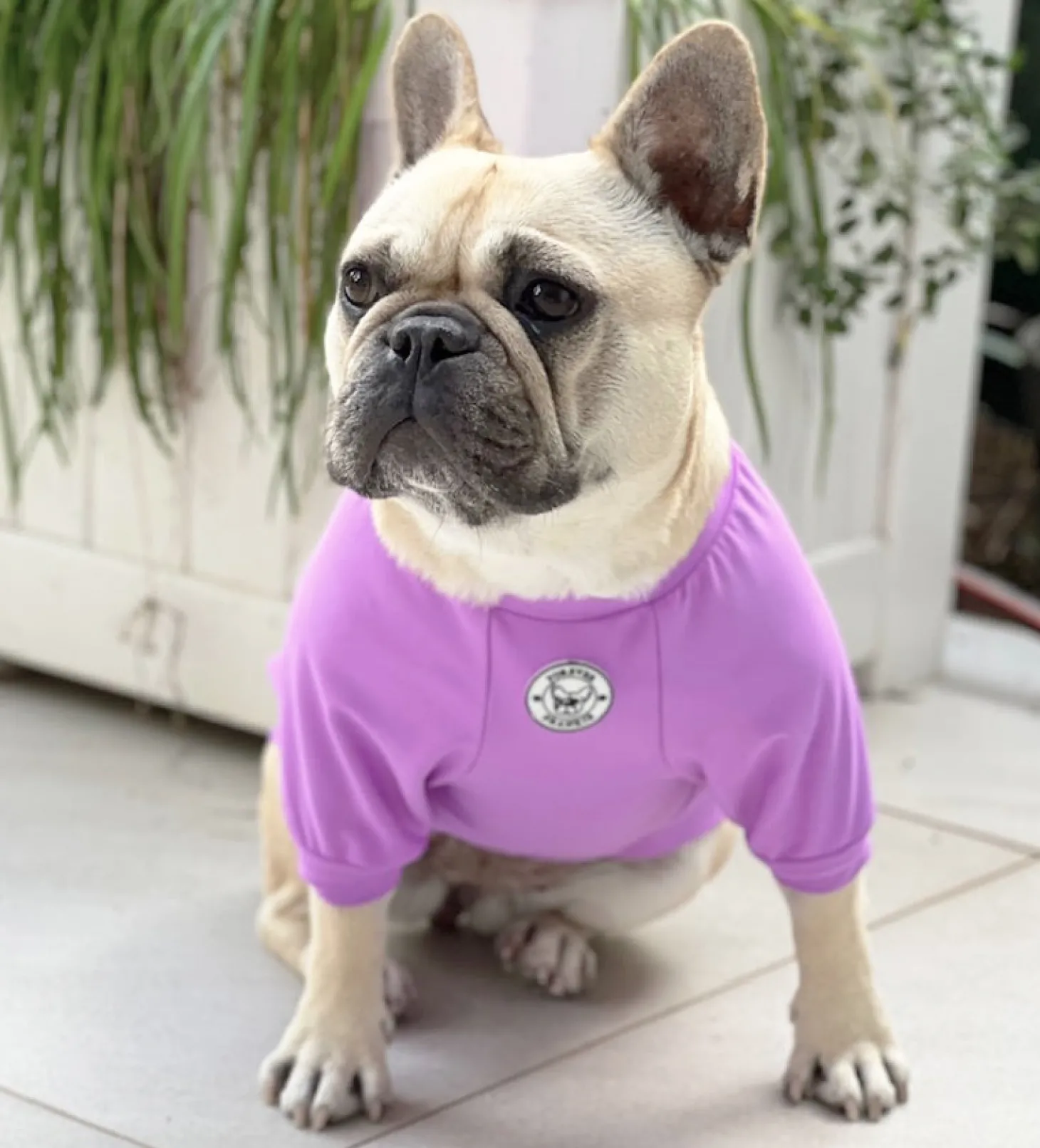 Violet Orchid - Sun & Sand Rashie UV 50+