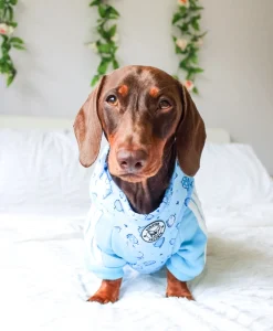 Whale of a Time - Adjustable Harness