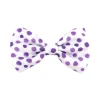 Wild About Purple - Bow Tie - End Of Line